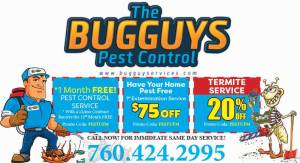 Bug Guys Pest Control