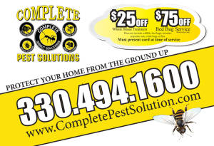 Complete Pest Solutions