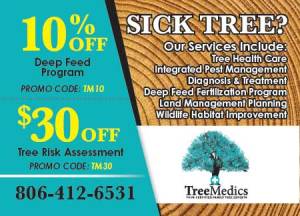 Tree Medics
