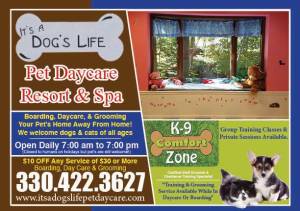 It's A Dogs Life Pet Daycare